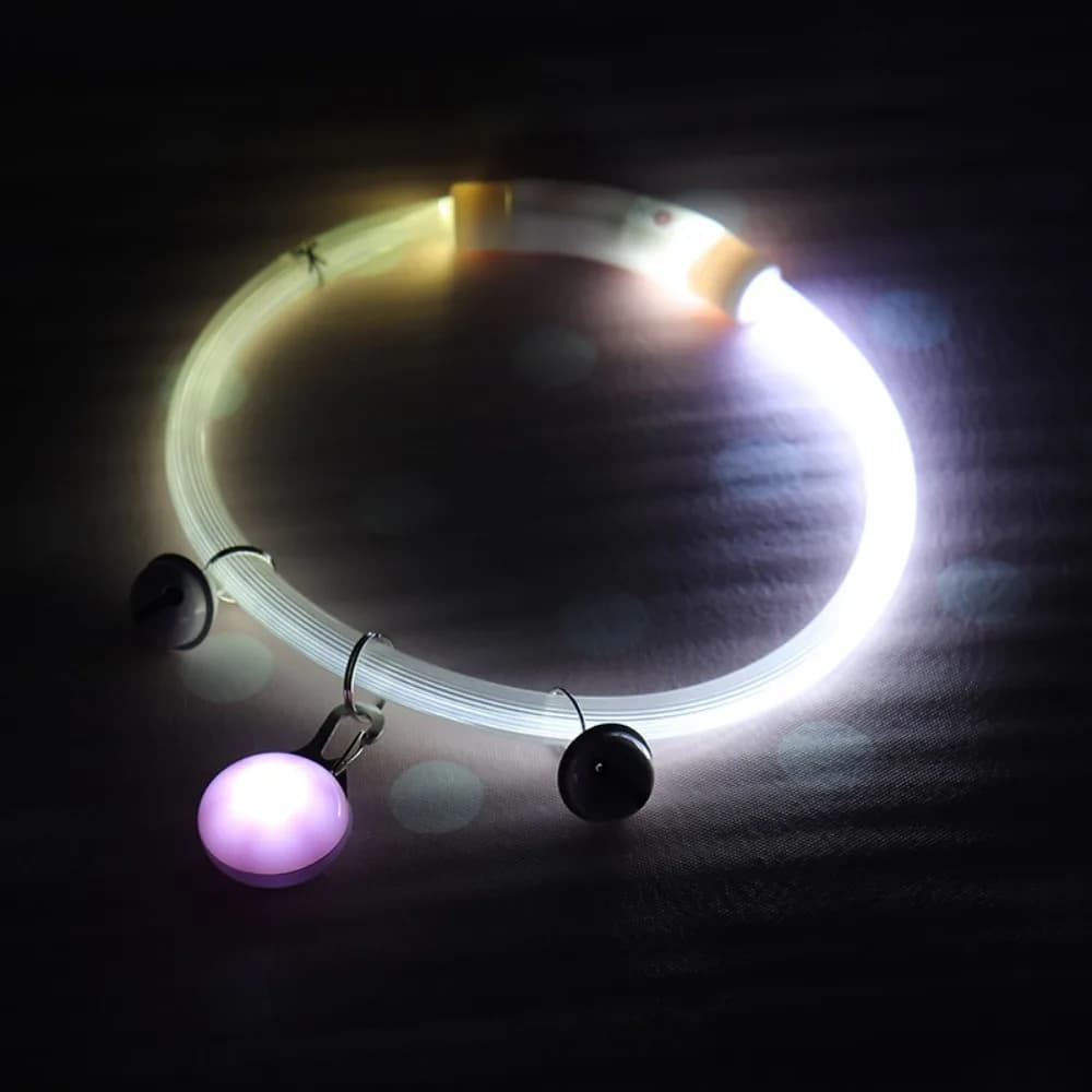 Collare per Cani LED Regolabile, Luce Multicolore in Fibra Ottica, Ricaricabile USB, Ciondolo Staccabile, LED Luminoso