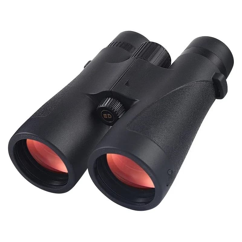 Binocolo ED per birdwatching con vespa d'ape dall'aspetto professionale, occhi impermeabili per visione notturna ad alta definizione