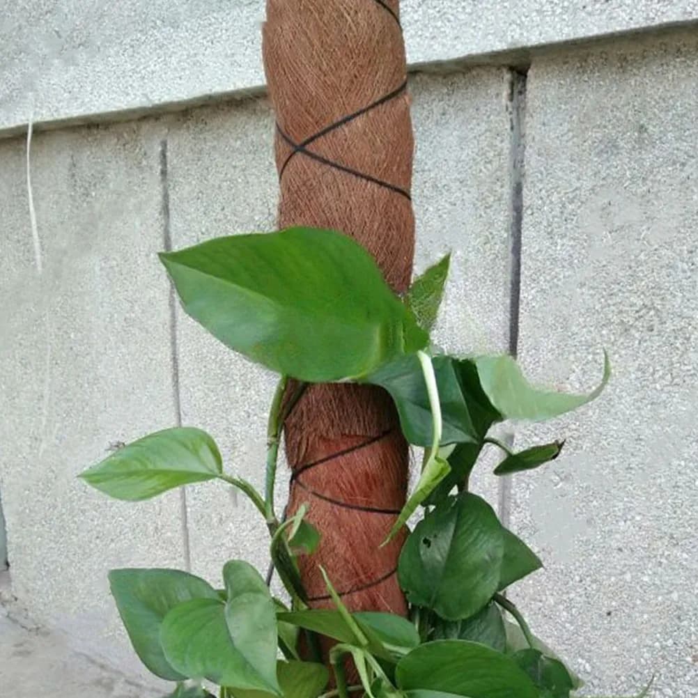 5Pcs Realistic Palm Tree Bark Decor for Garden Landscaping Aquarium Tank Background Natural Looking Artificial Bark for Plant