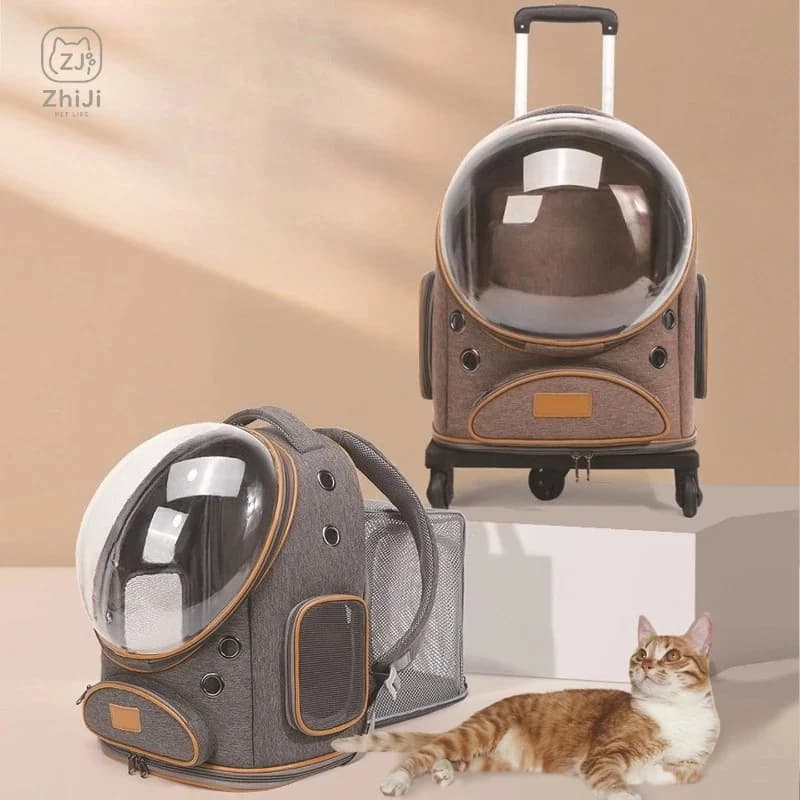 Shoulders Cat Bag Portable Foldable Pet Tie Rod Bag Large Capacity Light Backpack Cat Carriers Expandable Hand-held Cat Supplies