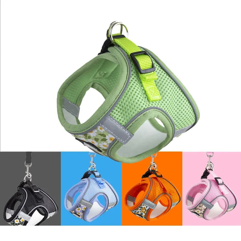 Pettorina per cani da compagnia Senza tirare Pettorina e guinzaglio riflettente traspirante Set Accessori per animali domestici regolabili Imbracatura per gattini e cuccioli