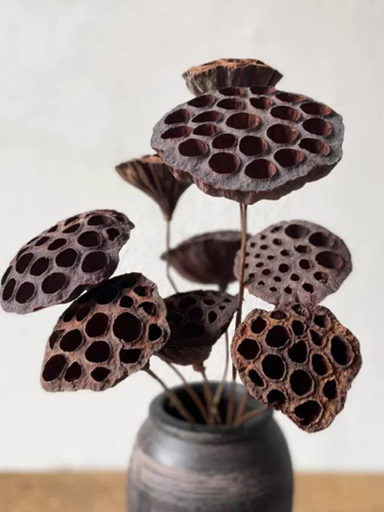 Bouquet of Secchi Flowers with Lotus Heads for Buddhist Lighting, Ecological Chinese Floral Decoration, Zen Ornament, Dry Coppers