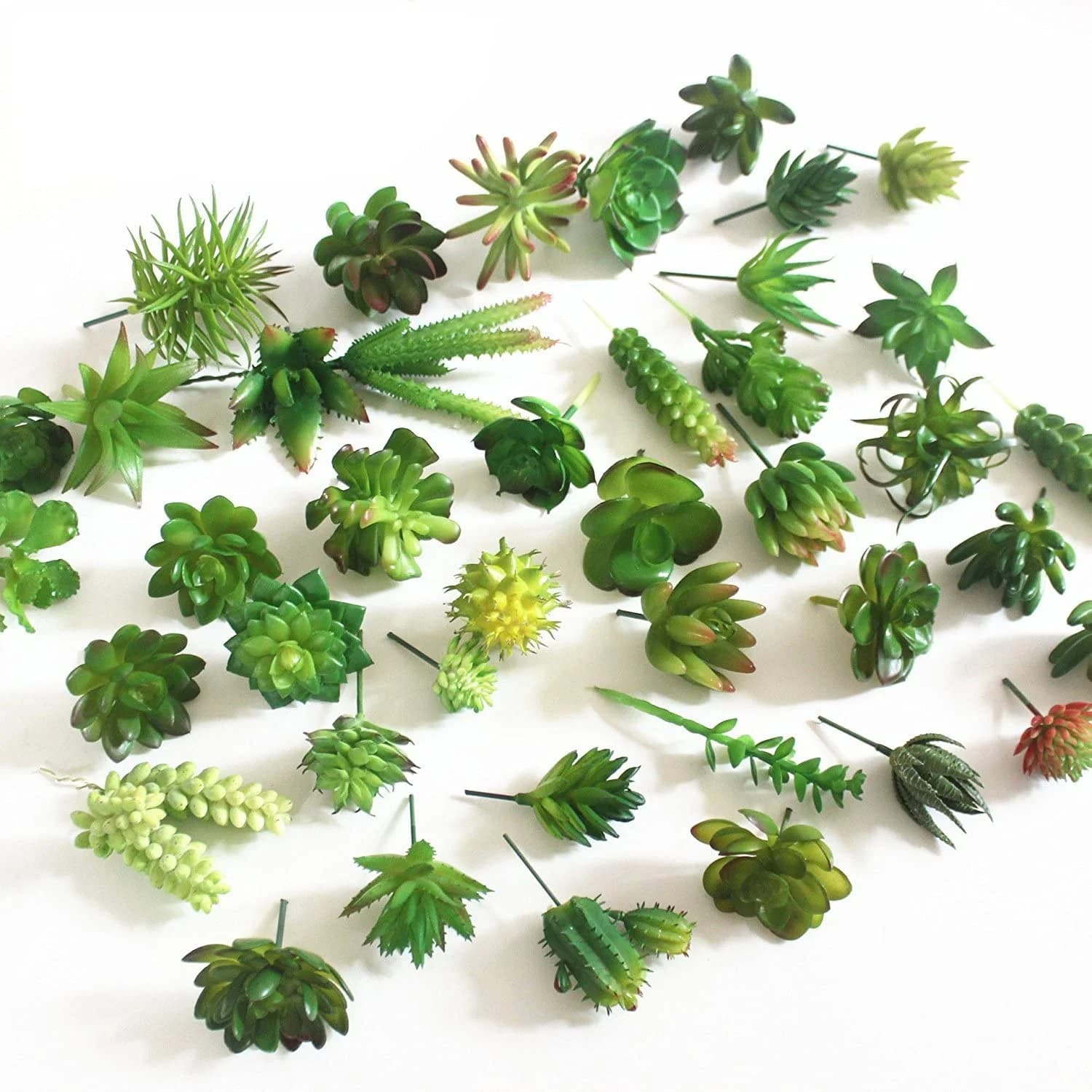 15 piante grasse artificiali decorative miste piante grasse finte non in vaso per decorazioni per la casa da parete fai da te (verde, invio casuale)