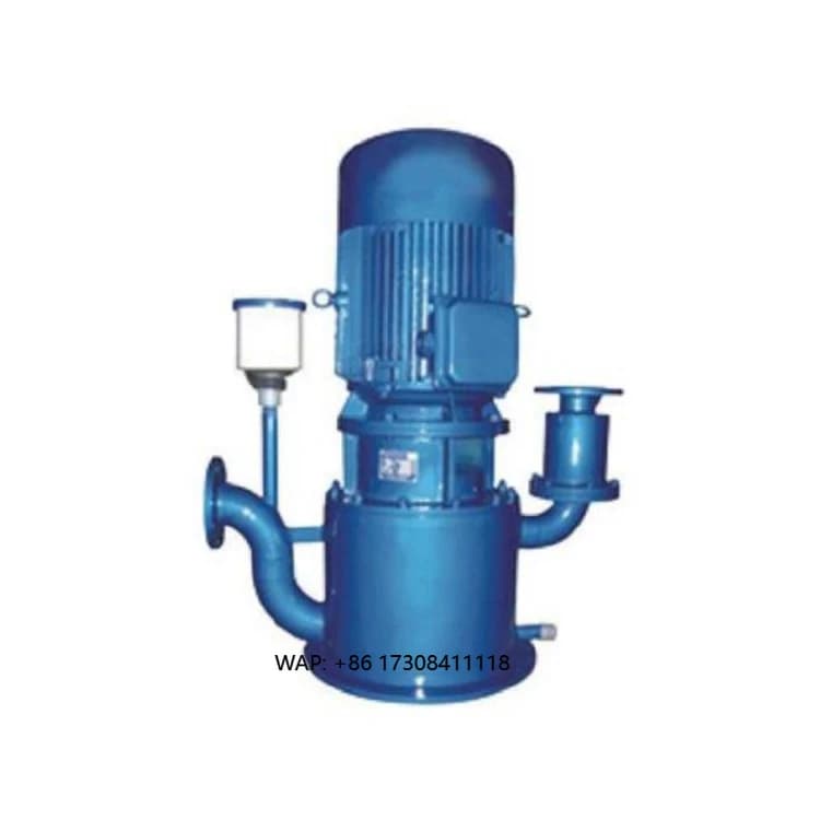 Pompa Autoadescante Serie WFB Senza Tenuta, Pompe e Compressori a Vuoto ad Anello d'Acqua per Pompaggio