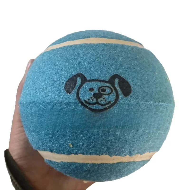 Tennis Cat Toy Ball Corgi Walking Training Bite Resistant Pet Products