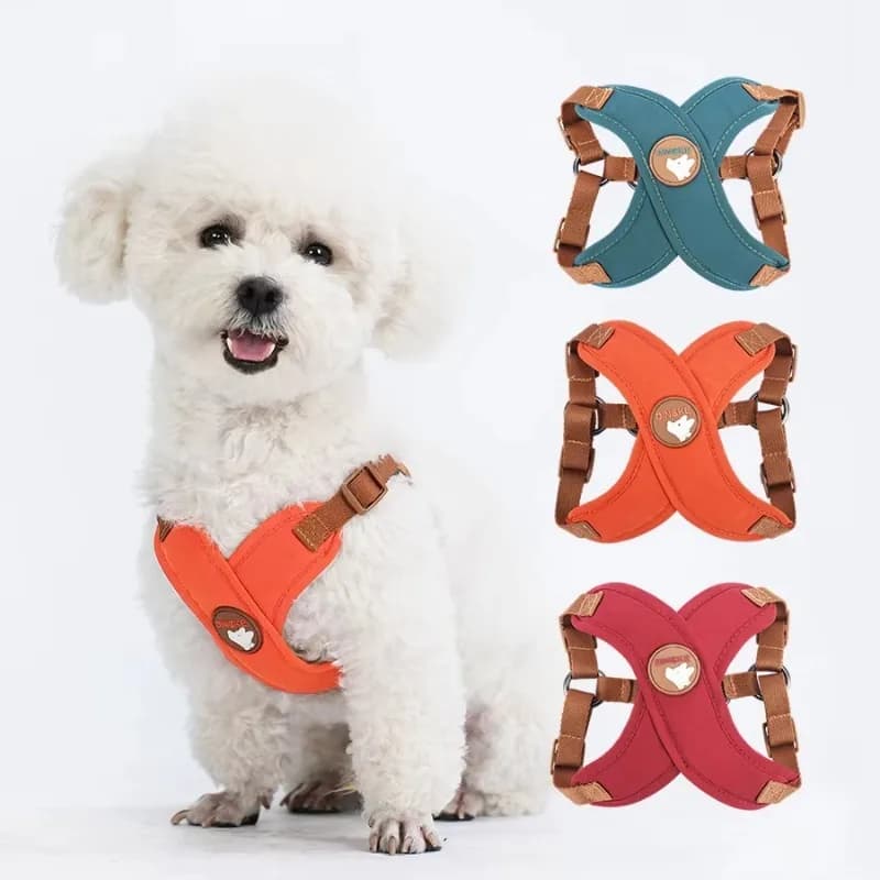 Dog's Plain Collar Butterfly Style cat and Dog Collar for Small and Medium-sized Dogs and Cats