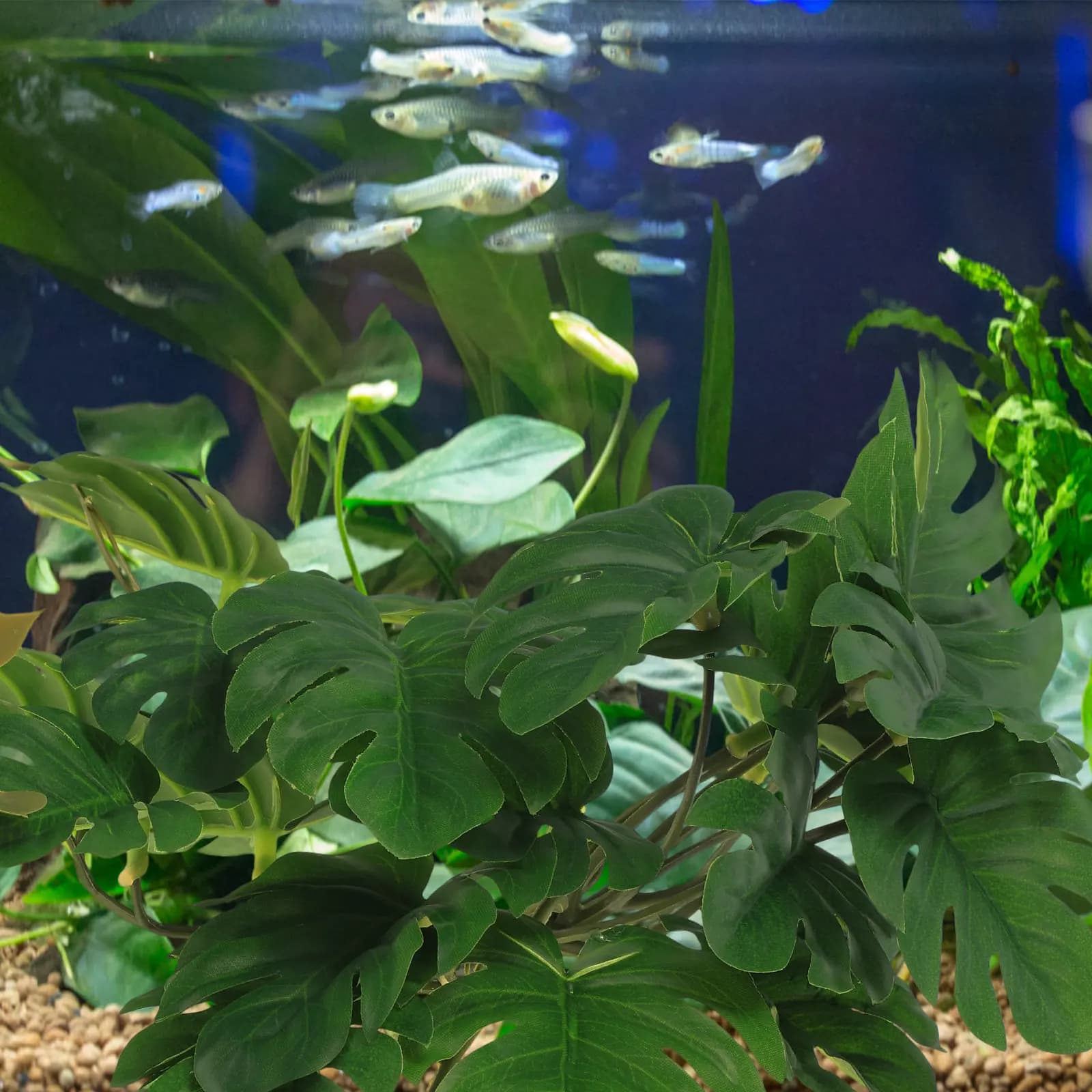Artificial Plants for Terrarium of Reptiles, Ornaments for Simulated Landscapes, Decorations for Aquariums and Lands