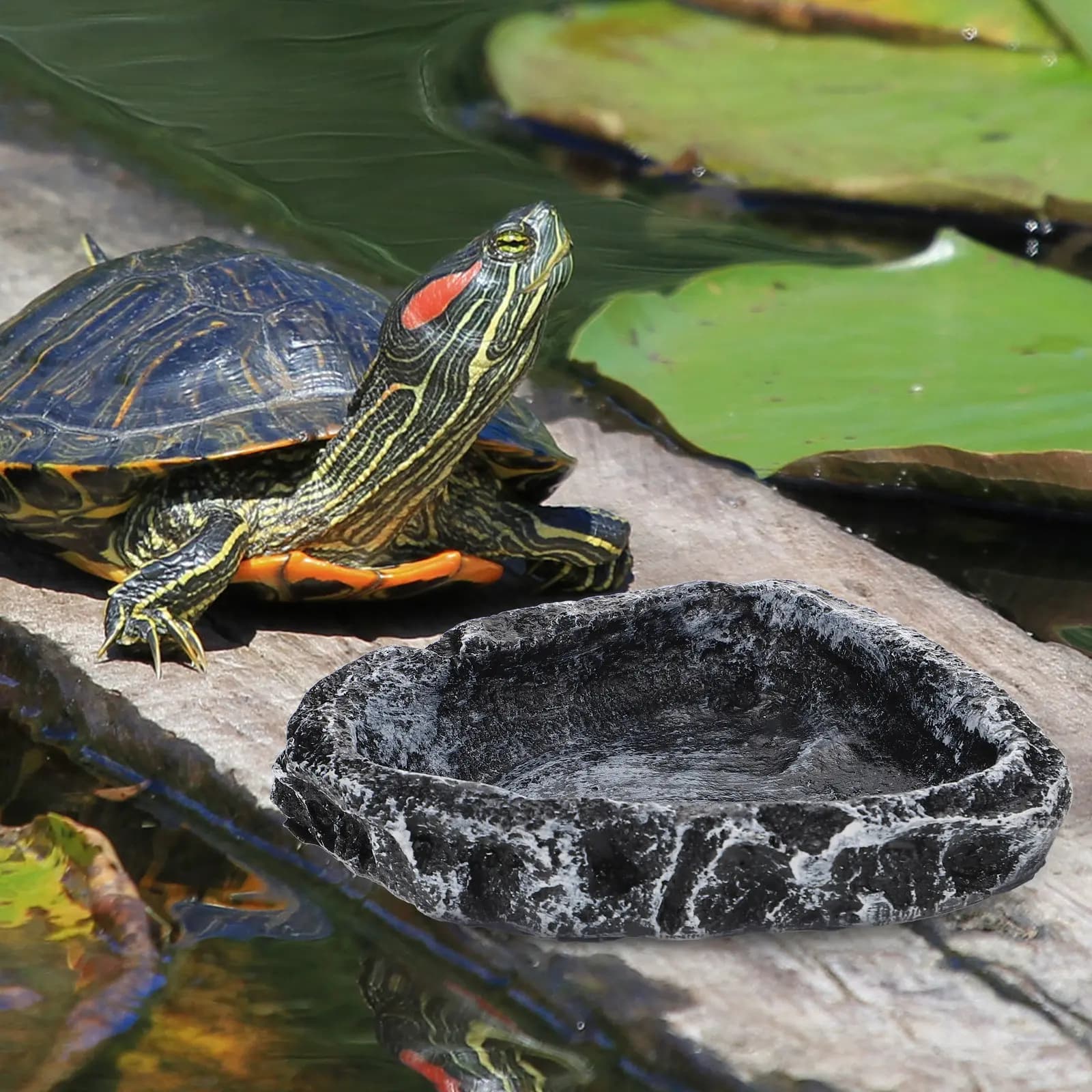 Premium Resin Reptile Water Dish Tortoise Feeder for Gecko Lizard Spider Turtle Crawling Pet Feeding Bowl Terrarium Food Basin