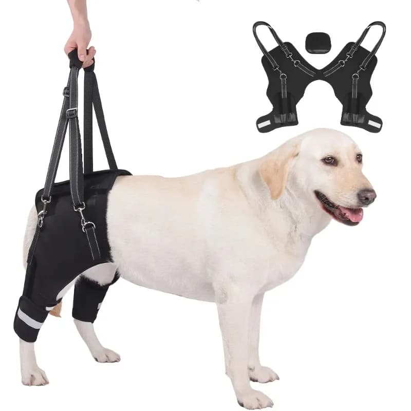 Supporto per gambe e anca per cani, imbracatura di sollevamento regolabile per artrosi, tutore per gamba di cane per lesioni al ligamento crociato anteriore, protezione traspirante per gomito e igromo