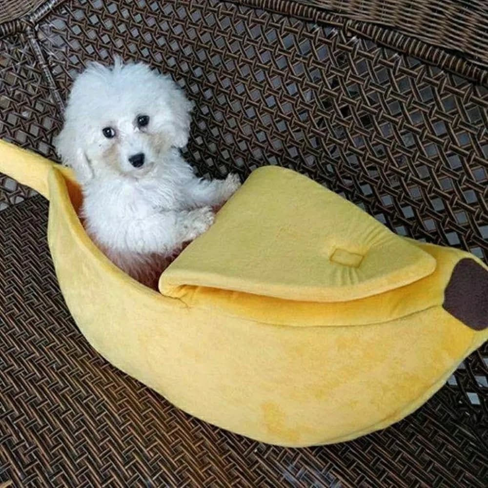 Banana Gatto Letto Casa Divertente Carino Accogliente Tappetino per gatti Letti Caldo Durevole Portatile Cestino per animali Cuccia Cuscino per cani Forniture per gatti Multicolor
