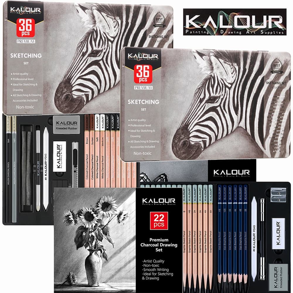 KALOUR Premium Sketching Pencil Set in Iron/Carton Box Charcoal Sticks Drawing Kit Gift for Shading/Detailing/Blending/Highlight