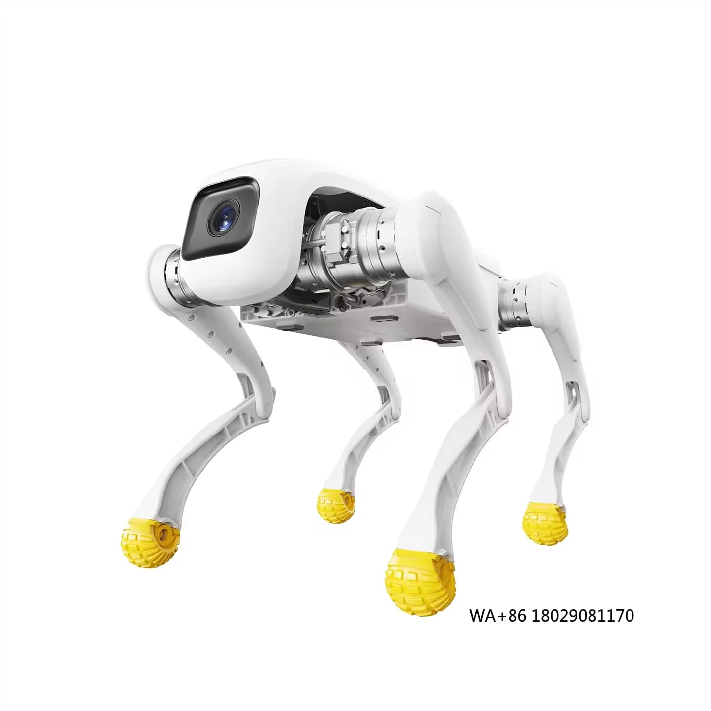 Robot per cani di design Giocattolo robotico elettronico AI con controllo app di costruzione in metallo e Wi-Fi AgiBot D1 Massimo intelligente a 4 gambe