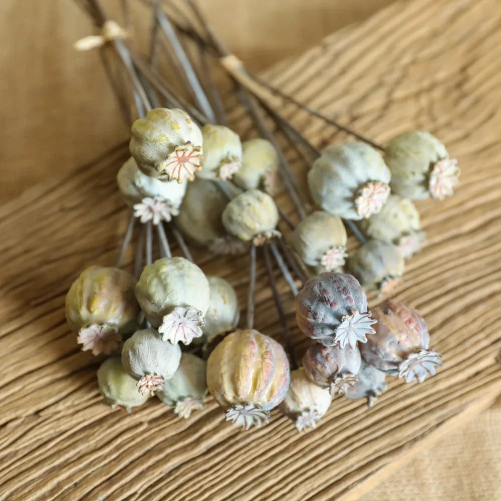 6 teste Poppies frutta mazzo di fiori secchi Bouquet di fiori artificiali per la decorazione domestica festa di nozze composizione floreale di capodanno
