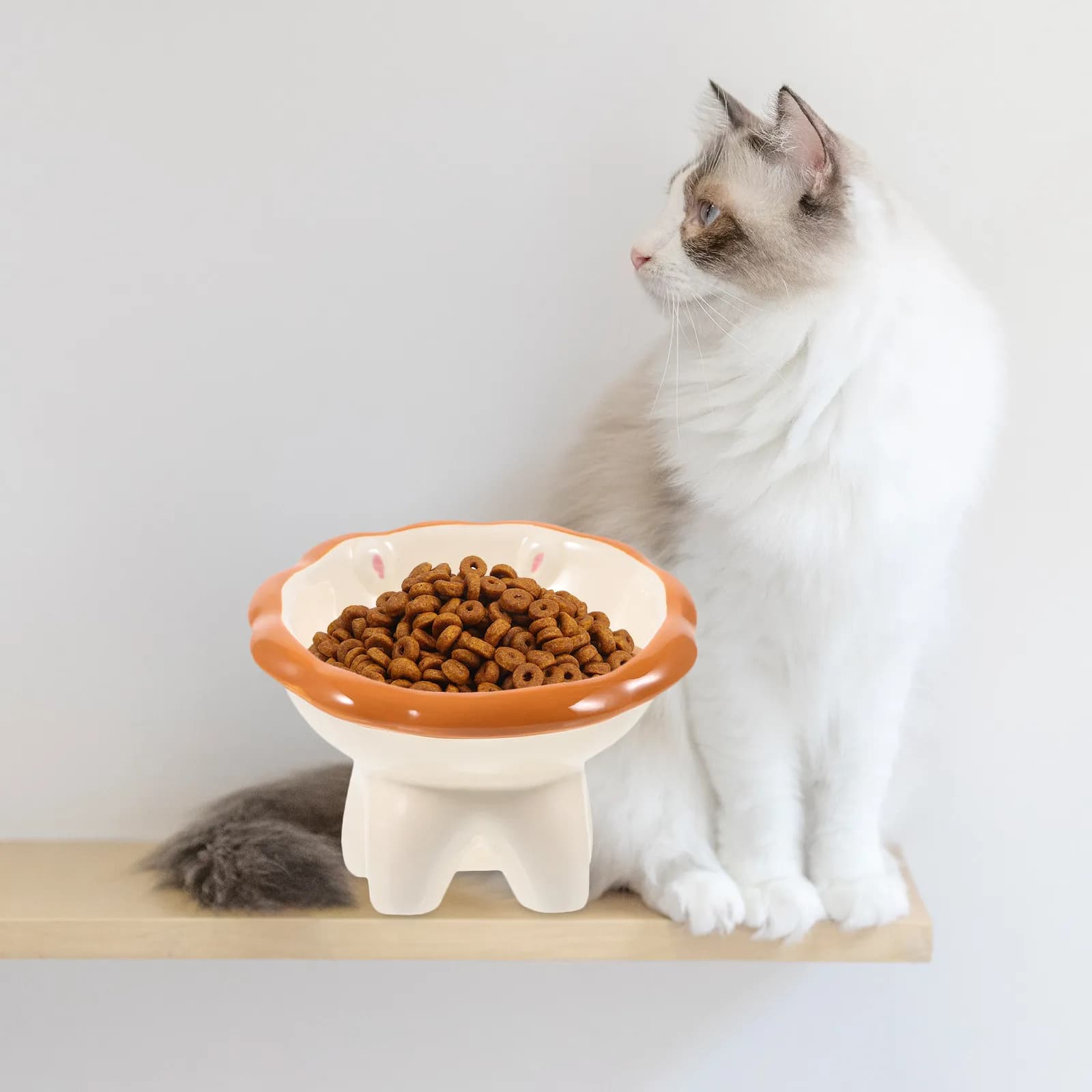 Ciotola in Ceramica per Cani e Gatti, Design Rialzato Antiscivolo, Facile da Pulire, Ciotola Inclinata per Cibo e Acqua