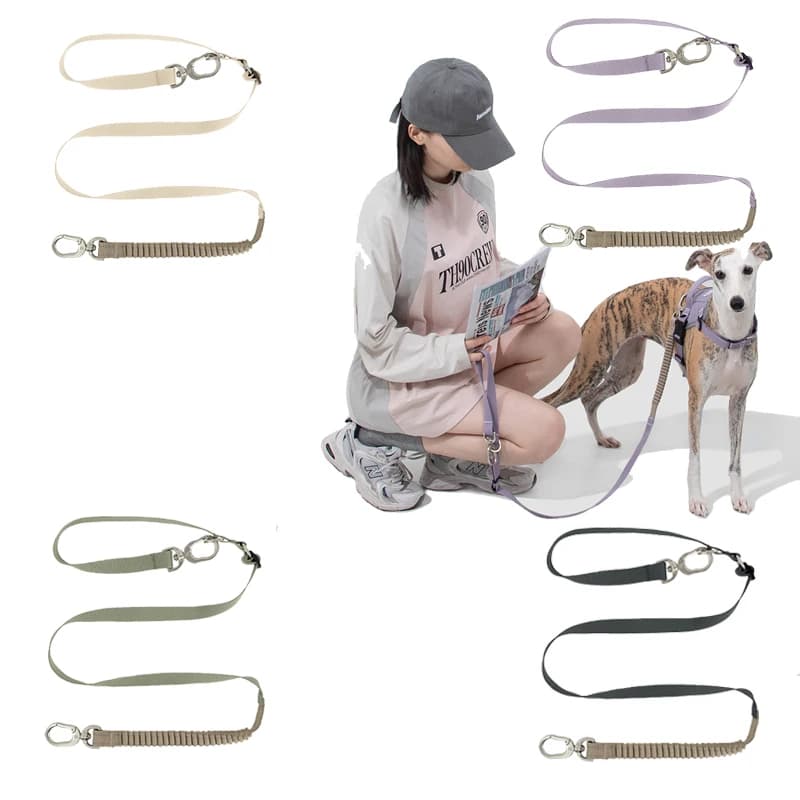 Guinzaglio per cani con imbracatura, 59" durevole per passeggiate, guinzaglio per passeggiate per cuccioli, robusto stile tradizionale con gancio per collare facile da usare