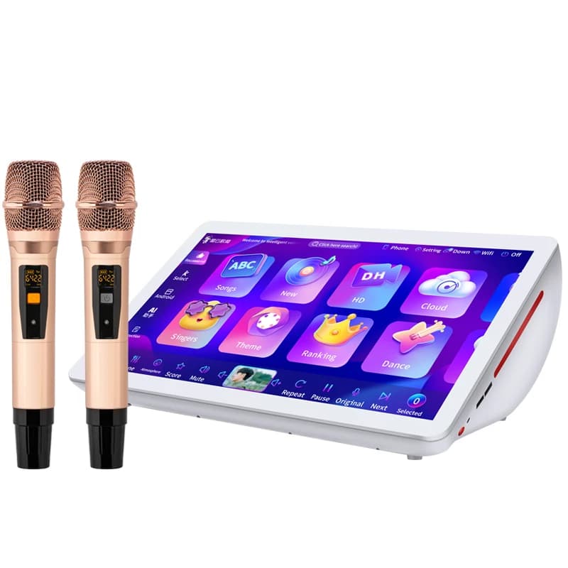 4 in 1 Home Wedding Party Karaoke System with 19.5 Inch 500g Android Player KTV Karaoke Machine for Parties