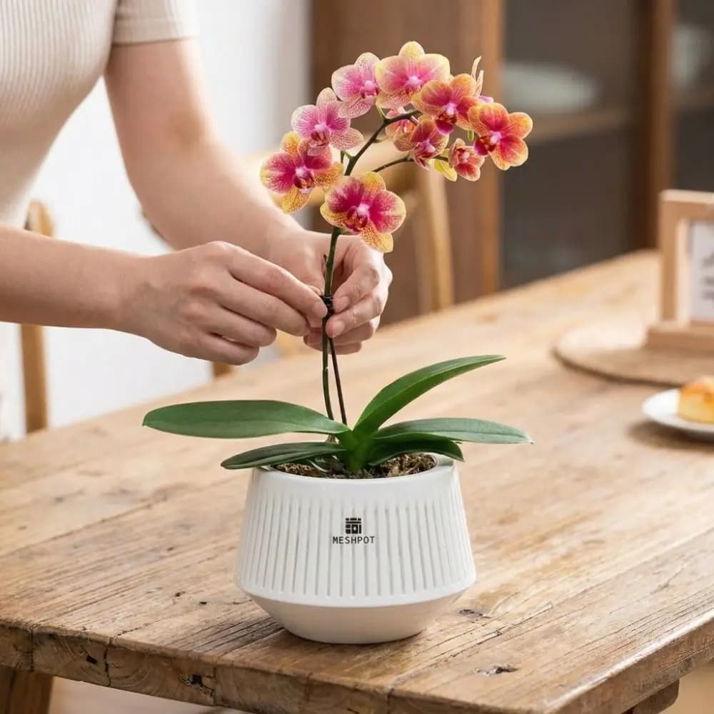 Vaso per orchidee a rete tipo split, idratante e ispessito, con fori per il controllo delle radici, per la coltivazione e la giardinaggio