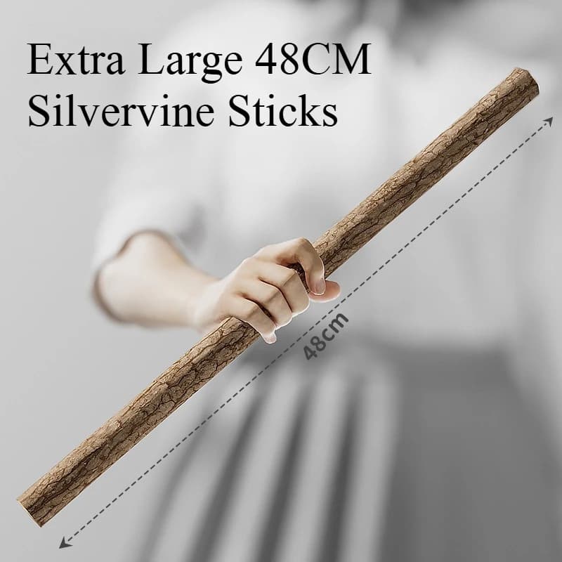 Bastoncino Extra Large 48CM di Silvervine per Gatti, Giocattolo con Erba Gatta, Bastoncini di Matatabi Silvervine, Giocattoli da Masticare per Gatti, Bastoncino in Legno, Giocattolo per la Dentizione dei Gattini