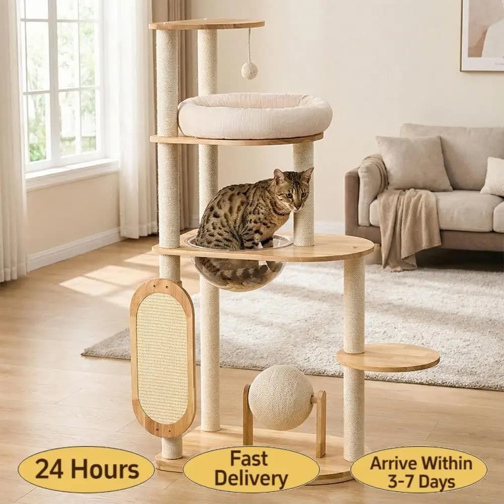 Piattaforma per Gatti in Legno Massello con Tiragraffi, Albero per Gatti Moderno Lavabile e Facile da Pulire per Case con Gatti Grandi e Multipli