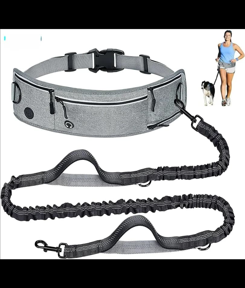 Leash for Dogs in Free Hands to Wear in Life, Race Guinzaglio con Cerniera, Marsupio per Stroller con il Cane, Manici Double Padded Reflective