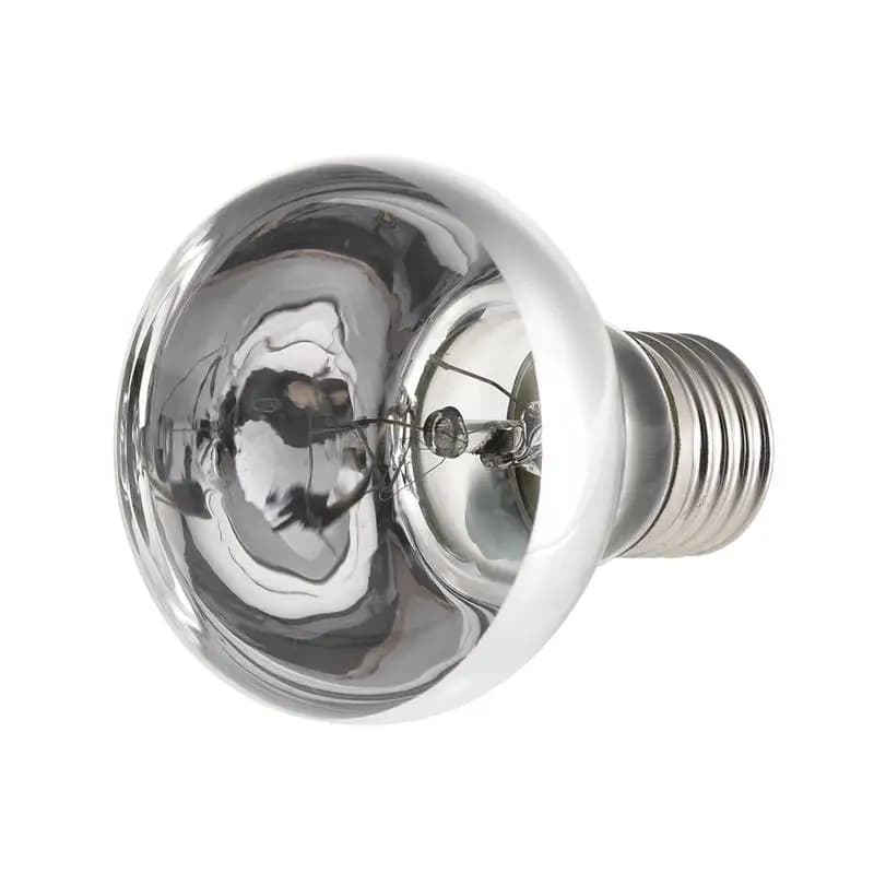 Lampada riscaldante per animali domestici E27 giorno notte per lampada serpente anfibio calore rettile lampadina 25W 50W 100W AC220-230V inverno caldo per animali domestici