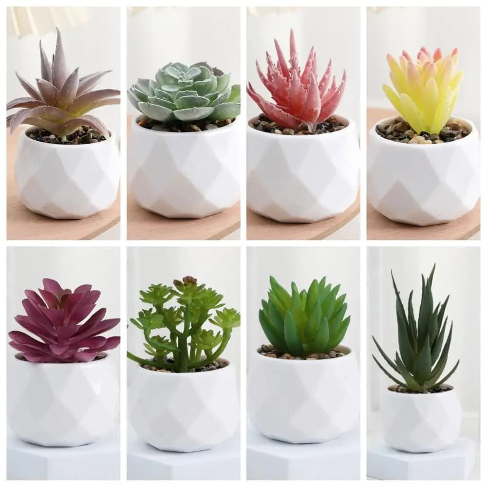 Mini Evergreen Artificial Succulent Cactus Plastic Succulents Bonsai Fake Plants Small Potted Plants Home