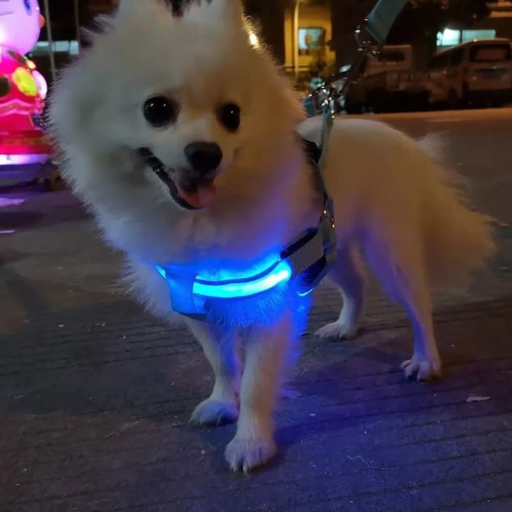 Pettorina per cani traspirante con LED luminosi, ricaricabile, lampeggiante, regolabile, morbida, gilet luminoso per la sicurezza degli animali domestici