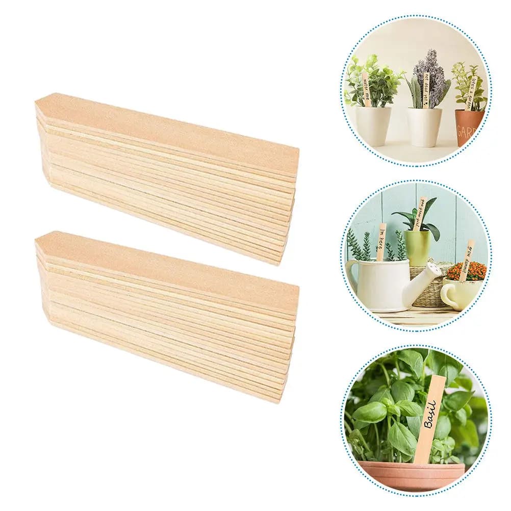 50 Etichette in Legno per Piante, Segnapunti da Giardino a Doppia Faccia con Freccia per Alberi da Frutto, Fiori, Piantine e Piante in Vaso