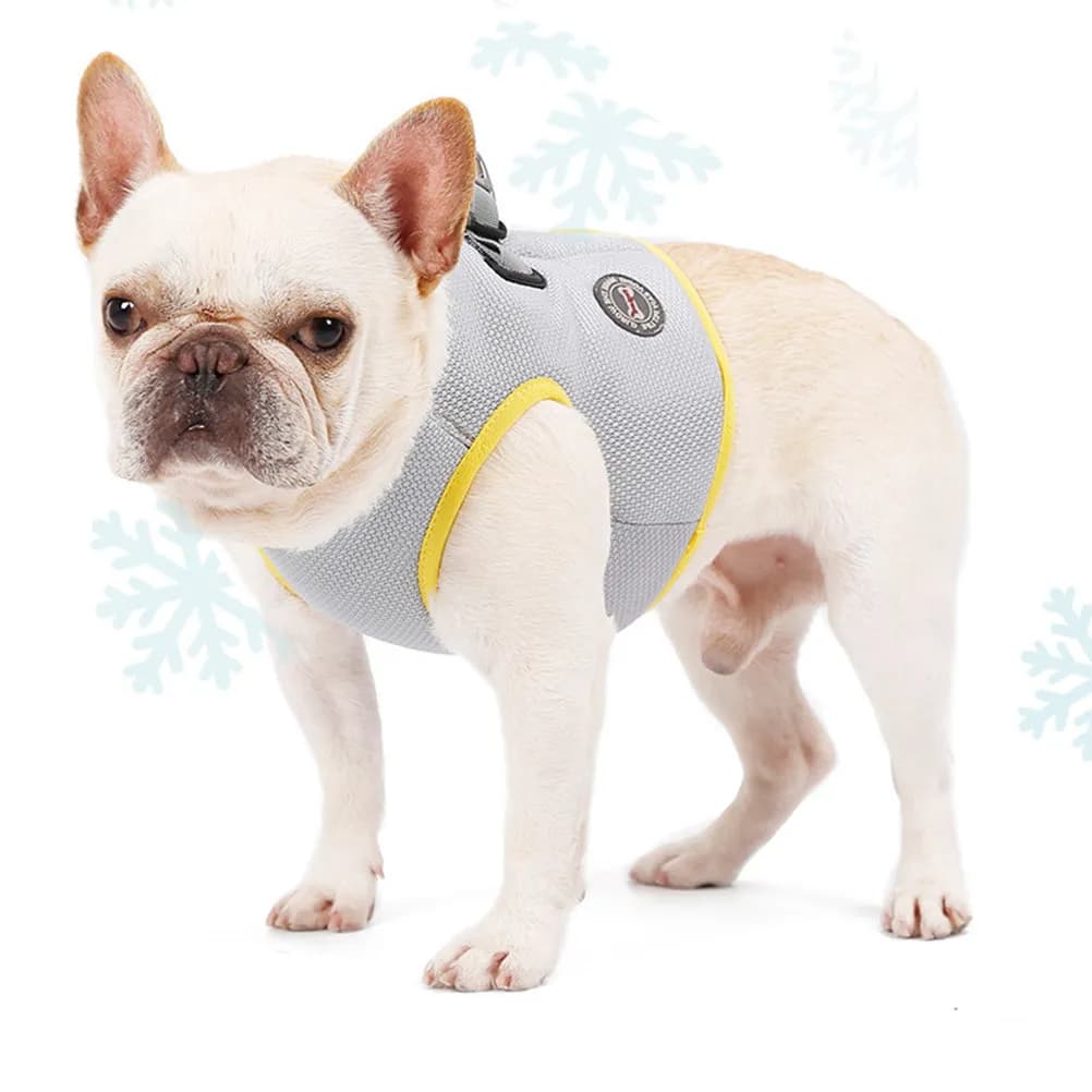 Gilet Rinfrescante per Cani Estivo Traspirante con Design Rinfrescante per Petto e Schiena, Facile da Indossare e Togliere, Fibbia Nascosta, per Passeggiate e Jogging all'Aperto, Taglia S per Cuccioli