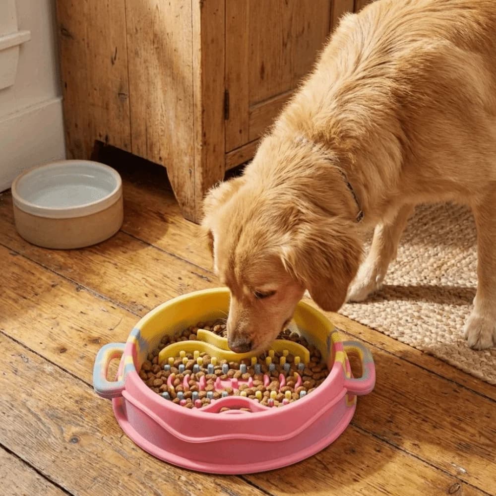 Ciotola Colorata in Silicone per Cani con Doppio Manico, Antiscivolo, Anti-Soffocamento, Anti-Ribaltamento, per Addestramento Animali Domestici