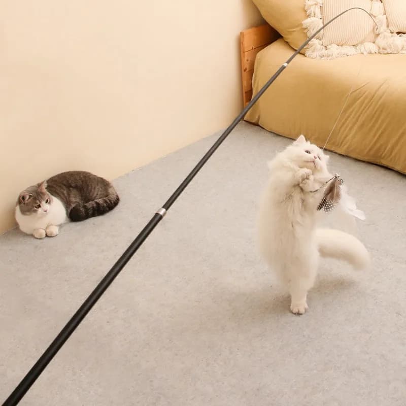 Long toys for cats Pet accessories scratch resistant 1.8 m telescopic fishing rod with active cat feathers Cat accessories
