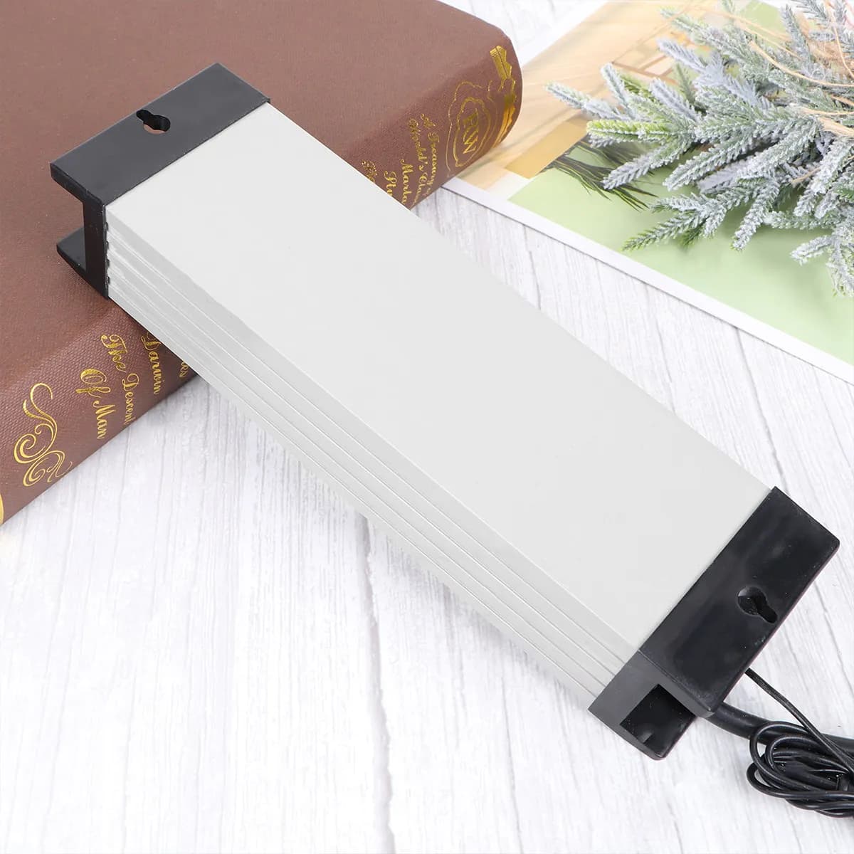 Presa Intelligente con Termostato, Ampio Display LCD, Controllo Temperatura per Acquario e Rettili, Timer per Riscaldamento e Raffreddamento