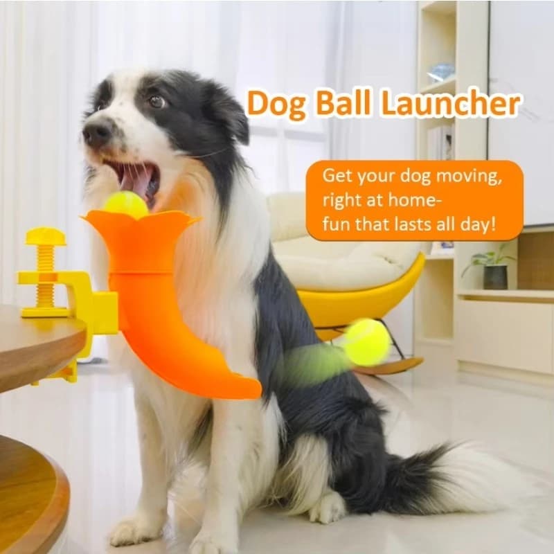 Automatic Dog Tennis Ball Launcher Interactive Throwing Toy Indoor Play Equipment for Dogs Boredom Relief