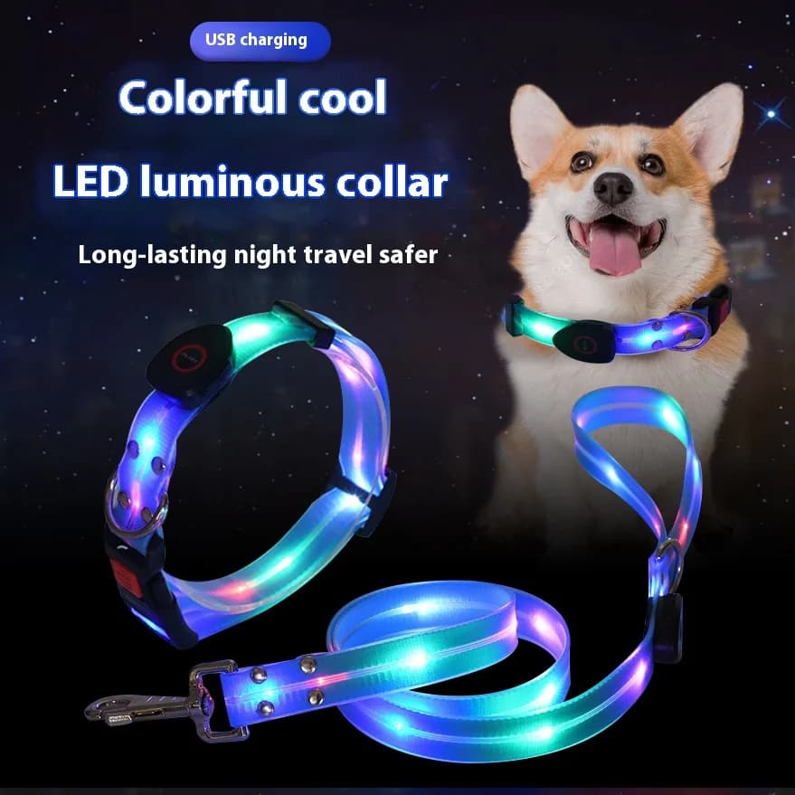 Collare luminoso per cani a LED colorato per cani Corda luminosa ricaricabile per cani Nastro avvolto in nylon e PVC Collare luminoso per animali domestici