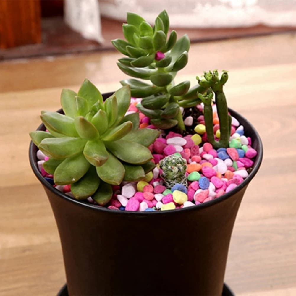 A56K Set of 10 Black Round Jars, Interior and Exterior Plants, Semi, Vegetables