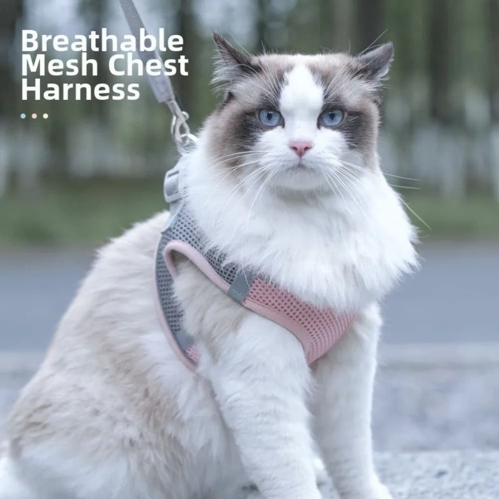 New Breathable Mesh Dog Harness Vest Reflective Soft Chest Strap Adjustable Dog Collar with Leash Cat Collar Pet Accessories