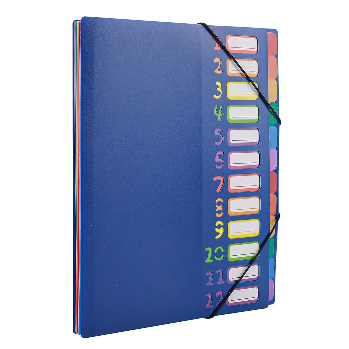 Cartella portadocumenti espandibile con linguetta arcobaleno formato A4 - 24 tasche, organizer per documenti durevole, divisori in plastica resistenti all'acqua per la scuola