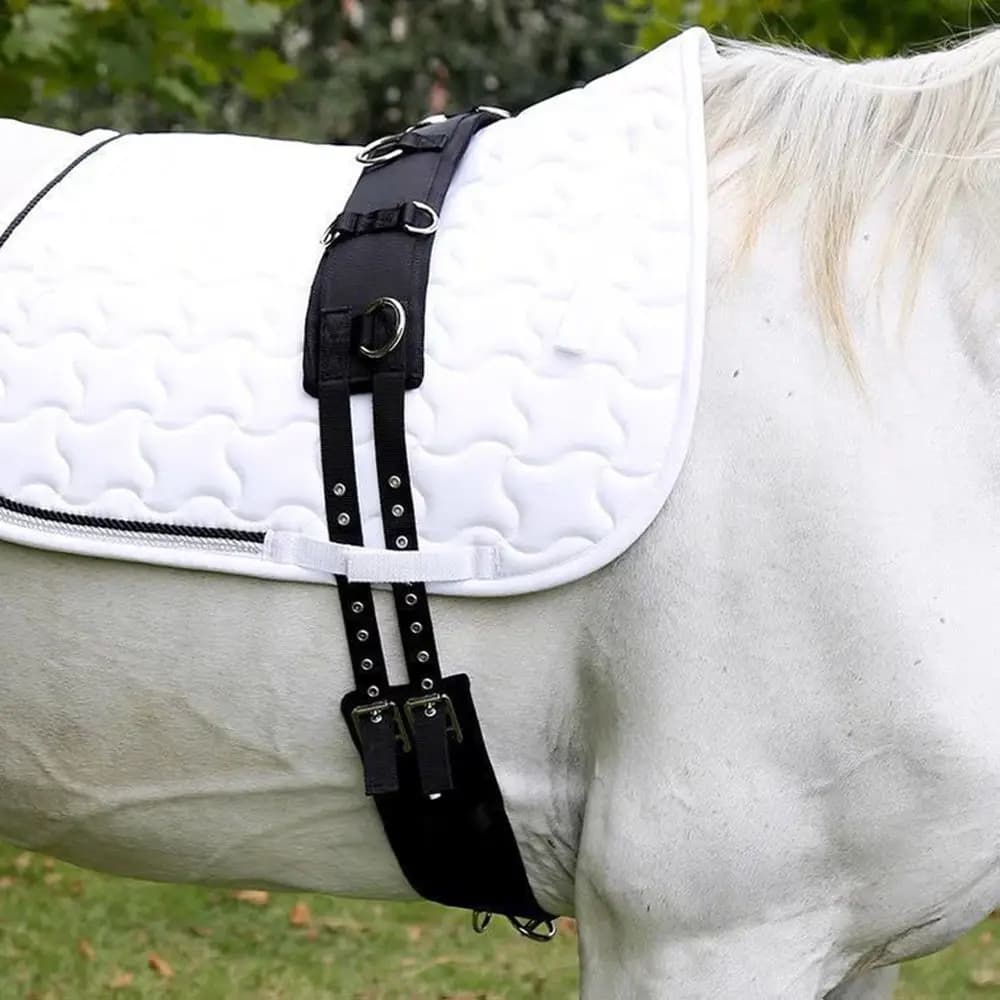 Nuovo zaino per il condizionamento resistente all'usura fascia per la pancia da allenamento per cavalli accessori per fiammiferi per cavalli cintura da sella completa in acciaio
