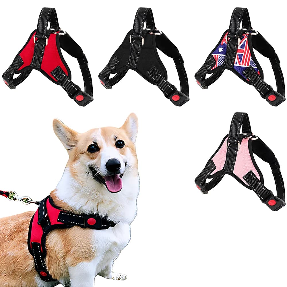 Imbracatura Riflettente per Cani, Pettorina Traspirante a Gilet per Gatti e Cani, Imbracatura di Sicurezza per Passeggiate, 1 Pezzo