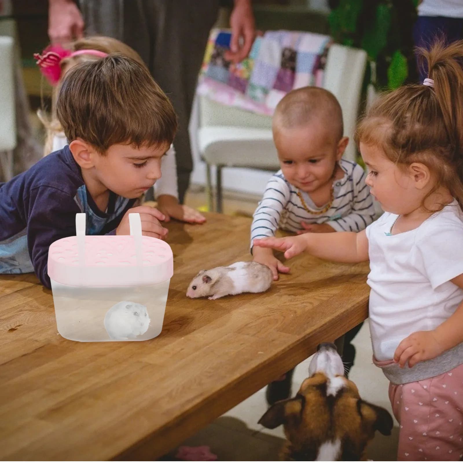 Set di 3 Trasportini Portatili per Piccoli Animali Domestici, Ideali per Criceti, Tartarughe, Gerbilli e Porcellini d'India, per Viaggi all'Aperto