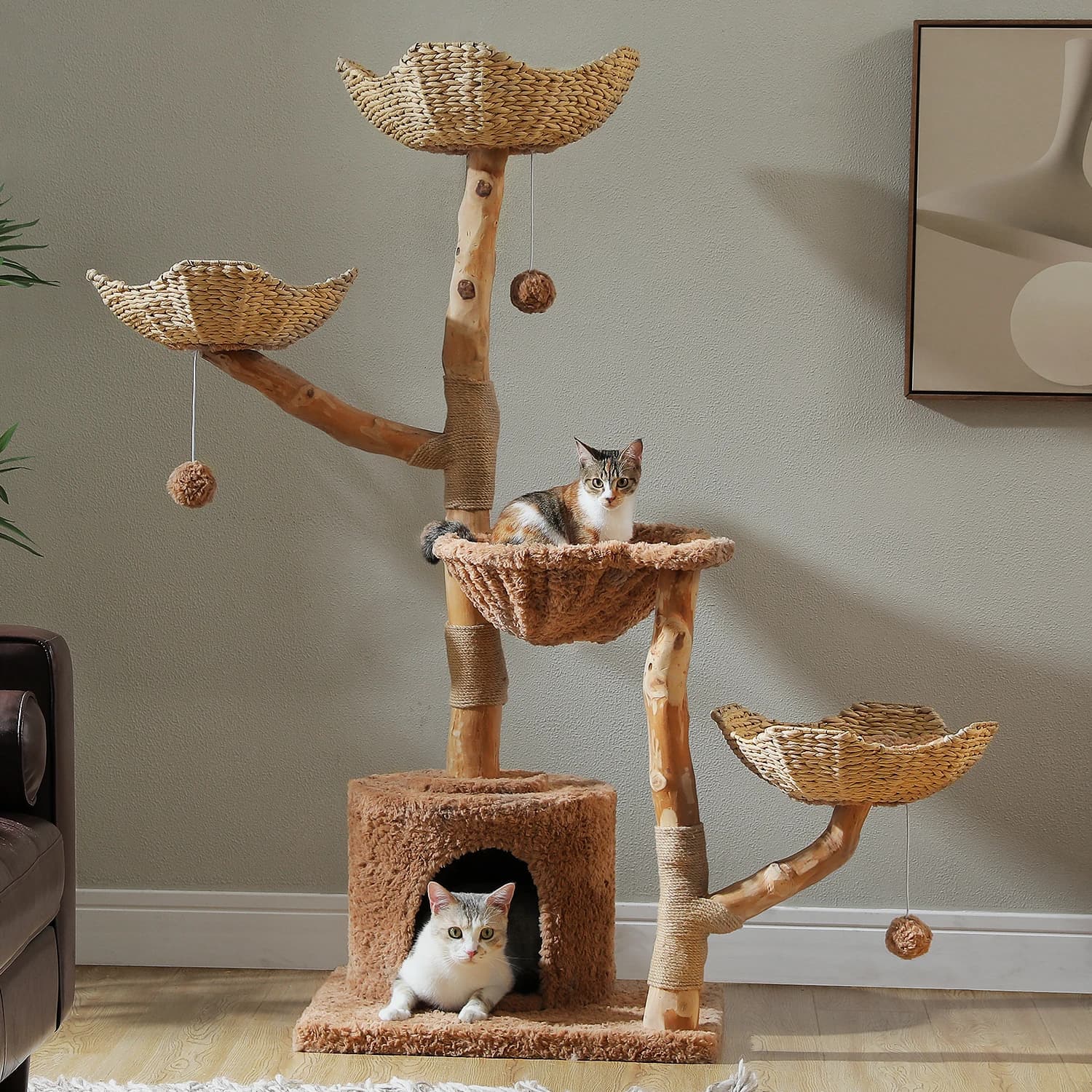 Torre moderna per albero per gatti con vero ramo naturale in legno massello, con/3 cestini in vimini intrecciati a mano, amaca da condominio e accogliente, tiragraffi, marrone
