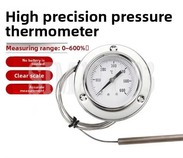Termometro a Lancetta per Forno Elettrico per Pizza e Pane in Acciaio Inossidabile 304, Display Temperatura 0-600 Gradi