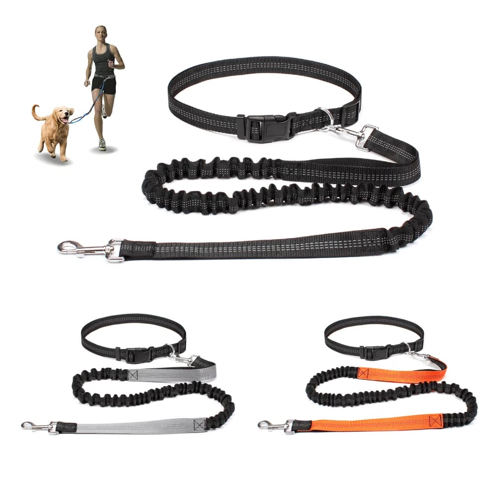 Free Hand Dog Drive for Strollers, Running and Jogging, Adjustable Guinzaglio with Pettorale Belt and Strap, Traction Cord, Dog Accessories
