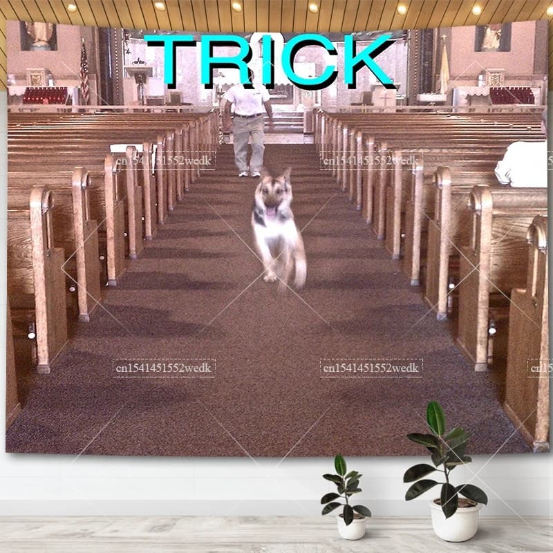 Alex G Trick Album Cover Tapestry Wall Art Posters Aesthetic Bedroom Decorative Print Tapestrys Macrame Farbic Tapestry For Room