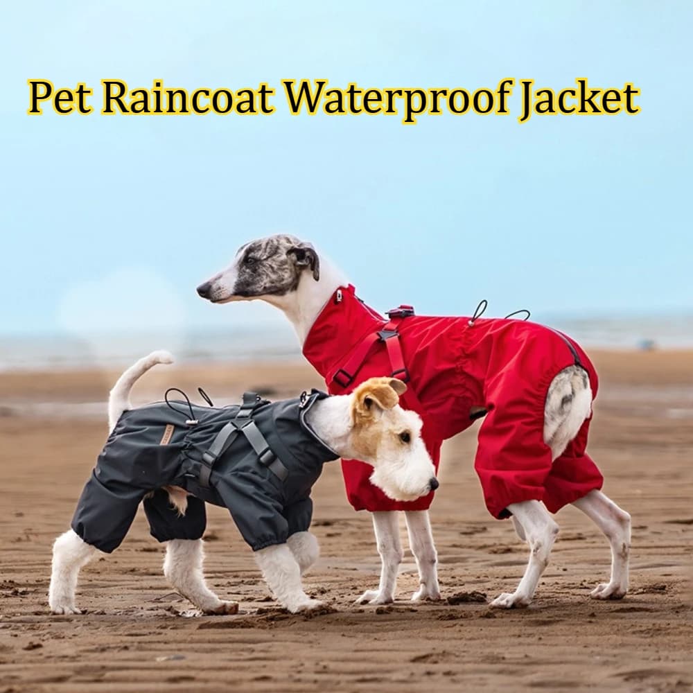 Impermeabile per Cani con Quattro Aperture per le Zampe, Anello per Guinzaglio, Abbigliamento Impermeabile per Animali Domestici, Impermeabile Riflettente per Cani da Esterno, Outfit da Viaggio per Animali Domestici