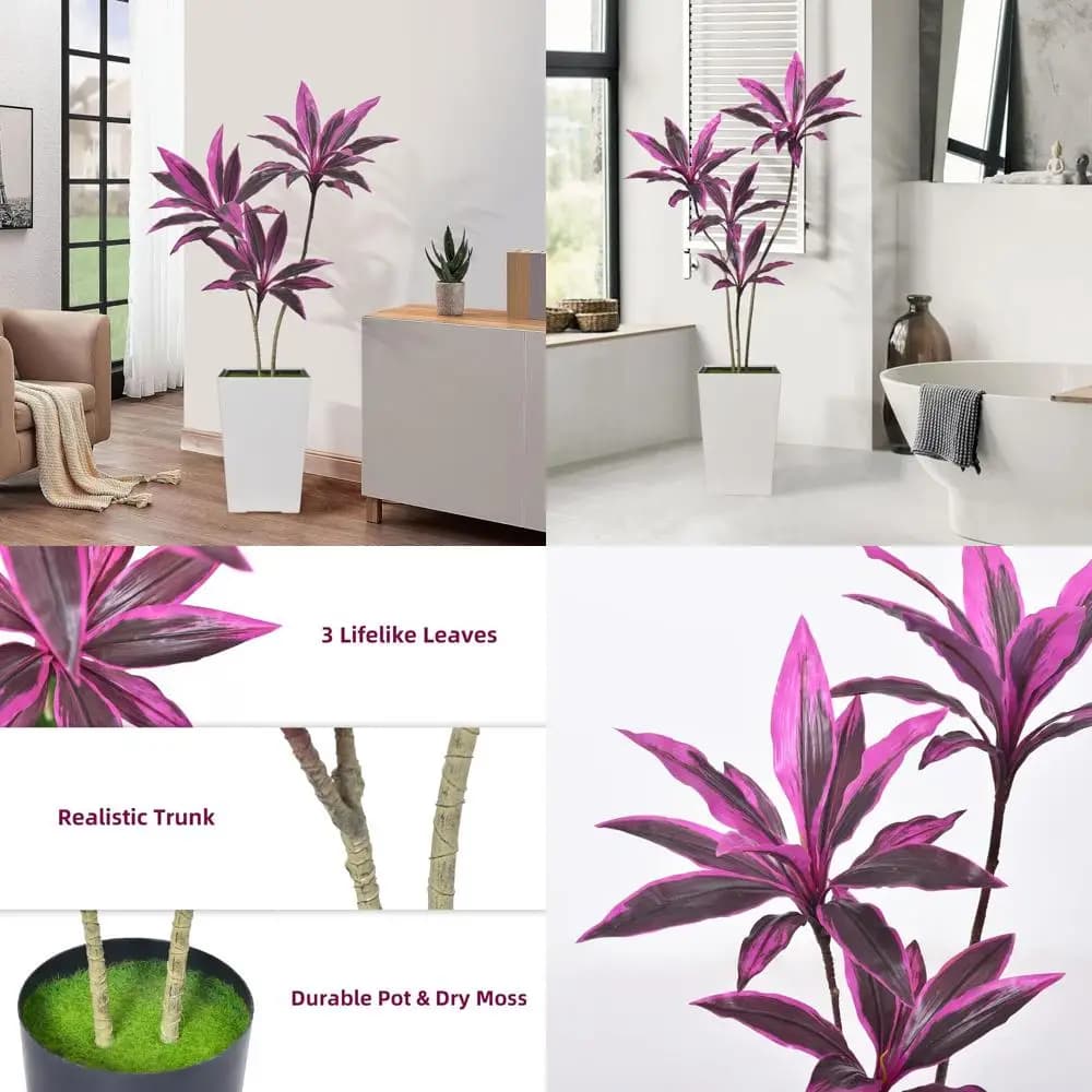 Piante in Vaso di Dracaena Marginata Sempreverde, Palma Yucca e Drago d'India per Arredamento Casa e Ufficio, Uso Interno o Esterno (Set di
