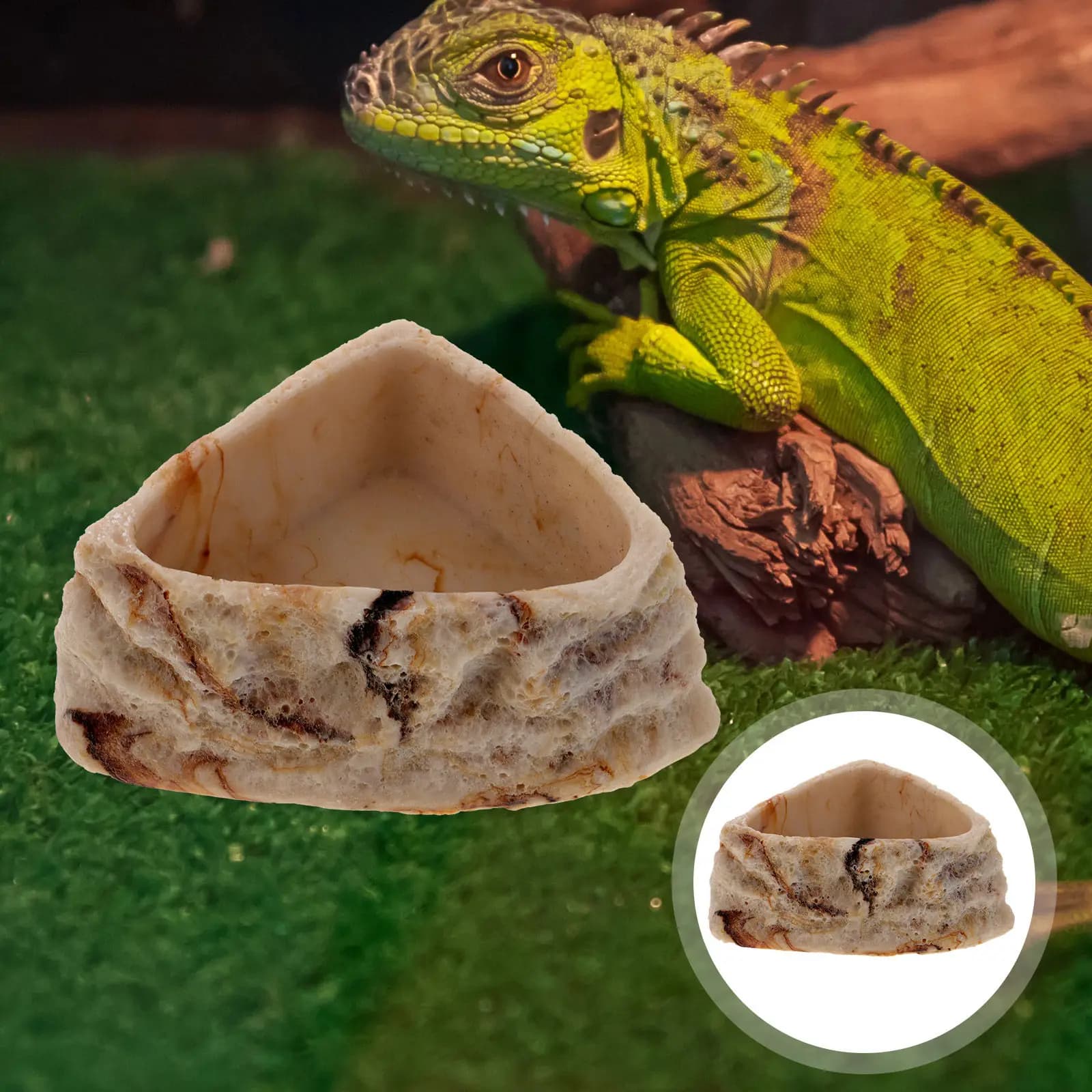 Ciotola in Resina per Alimenti e Acqua per Rettili, Gechi, Draghi Barbuti, Serpenti, Tartarughe, Lucertole, Ricci