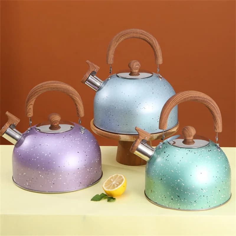 Bollitore in acciaio inossidabile da 2L/3L con manico resistente al calore, per cucina domestica, fornello a gas, piano cottura elettrico in ceramica
