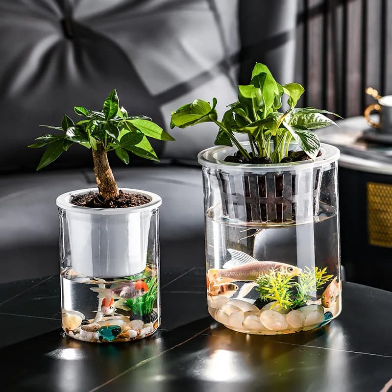 Creative Container for Hydroponic Plants - Base for Semenzai for Common Plants - Decorative Element for Water Harness