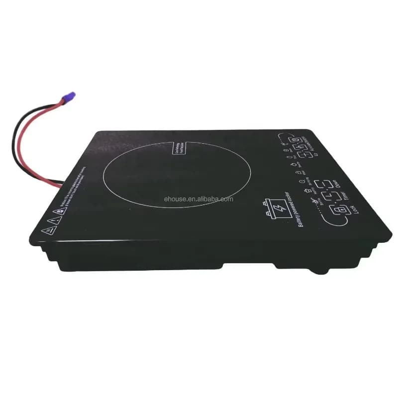 'Best-seller' Portable Mini Induction Solar Induction Grip for Motorhome, Intelligent, with DC 12V/24V/48V battery, ideal for outdoor camping